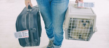 Person trägt schwarzen Koffer mit LAX-HKG-Gepäckanhänger und Haustierträger mit kleinem Hund und HKG-Anhänger