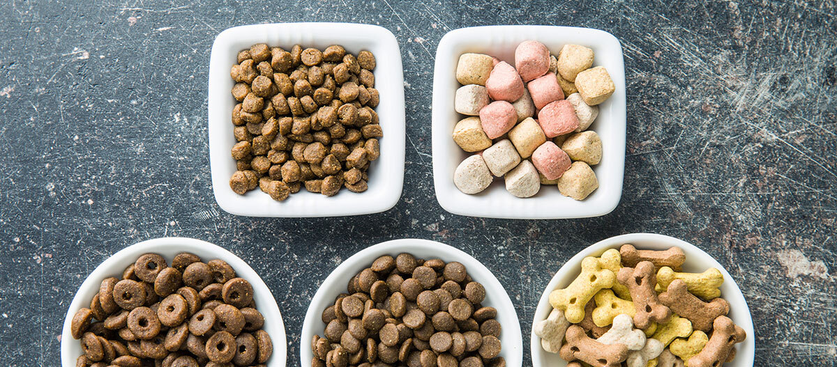Ratgeber-Hund-Ernährung-Leckerlis_1200x527 Schüssel voller verschiedener Leckerlis.