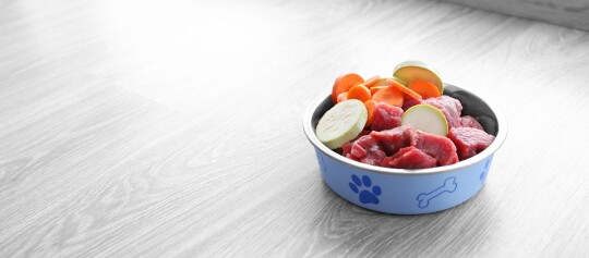 Ein Hundenapf gefüllt mit Fleisch und Gemüse.