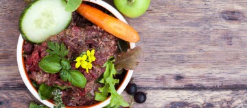 Schüssel mit frischem rohem Hackfleisch, Gurkenscheibe, Karotte, grünen Kräutern und Salat auf rustikalem Holztisch