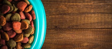 Buntes Trockenfutter in einer türkisfarbenen Futterschüssel auf einem rustikalen Holztisch