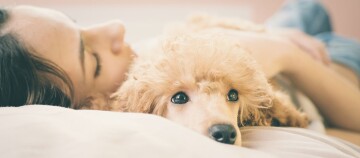 Eine Frau kuschelt mit ihrem Hund.