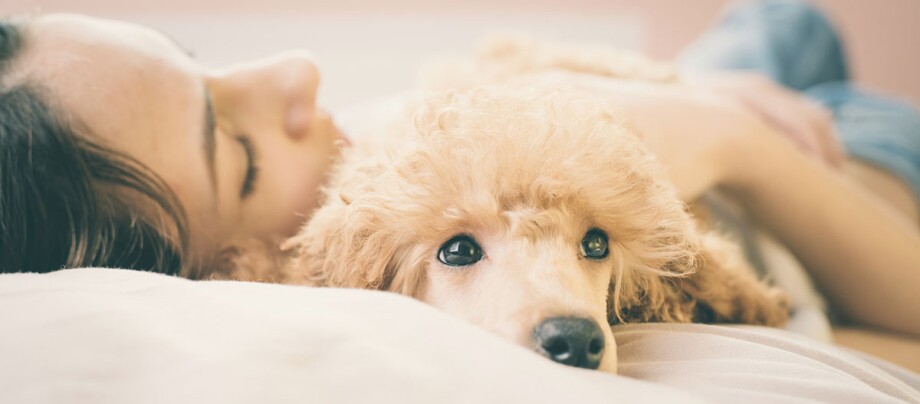 Ratgeber-Hund-Zooanthroponose-Frau-mit-Hund_1200×527 Eine Frau kuschelt mit ihrem Hund.