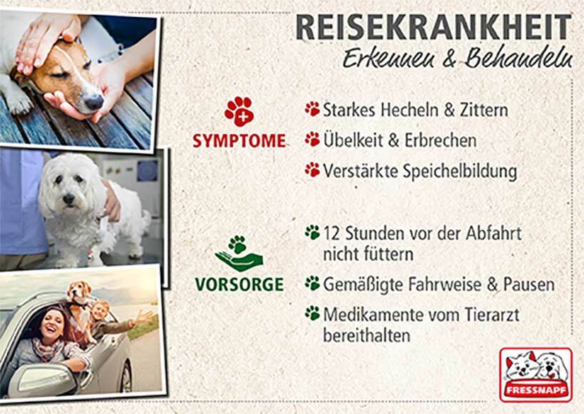 Infografik Reiskrankheiten erkennen behandeln Infografik Reiskrankheiten erkennen behandeln