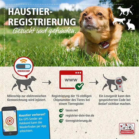 Fressnapf-Infografik-Tierregistrierung Grafik zur Haustierregistierung.