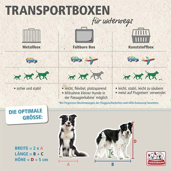 Ratgeber_Hund_Transportboxen_580x580 Trasnsportboxen Übersicht