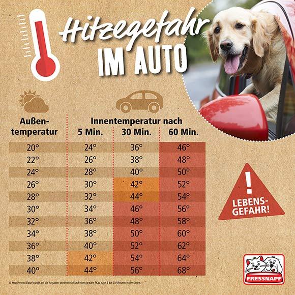Infografik-Hitzefalle- Hitzegefahr im Auto: Tabelle zeigt Innen- und Außentemperaturen mit Hund im Auto, Warnung vor Lebensgefahr