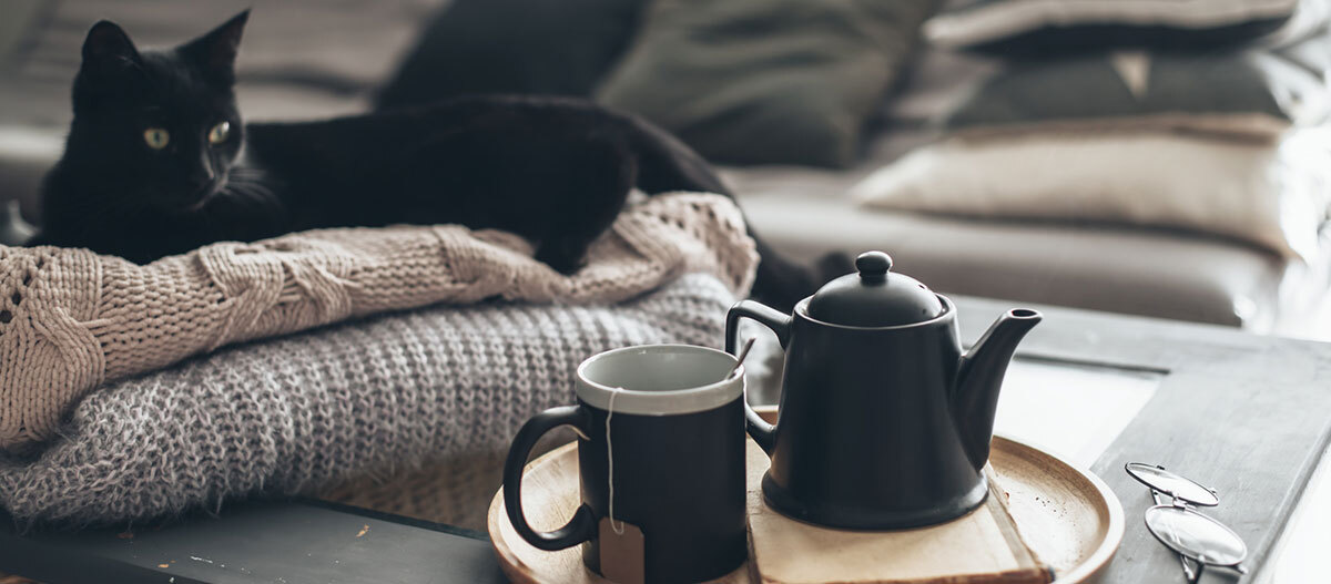 Ratgeber-Katze-Gesundheit-Winter-KatzeWohnzimmer_1200x527 Schwarze Katze liegt auf gestrickten Decken neben einem Tablett mit schwarzem Teekännchen und Tasse in einem gemütlichen Wohnzimmer