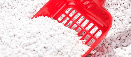 Katzenstreu und Streuschaufel.