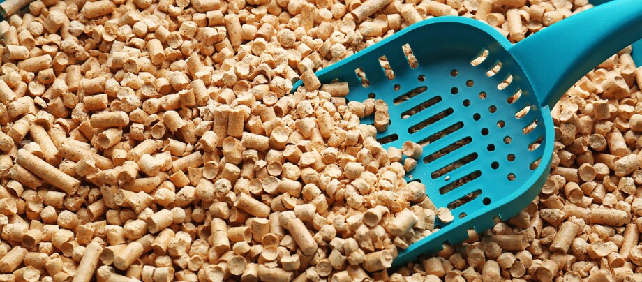 Ratgeber-Katze-Gesundheit_Katzenstreu_Menge_1200x527 Blauer Kunststoff-Katzenschaufel in natürlichem Holzpellet-Katzenstreu zur Feuchtigkeitsaufnahme und Geruchskontrolle.