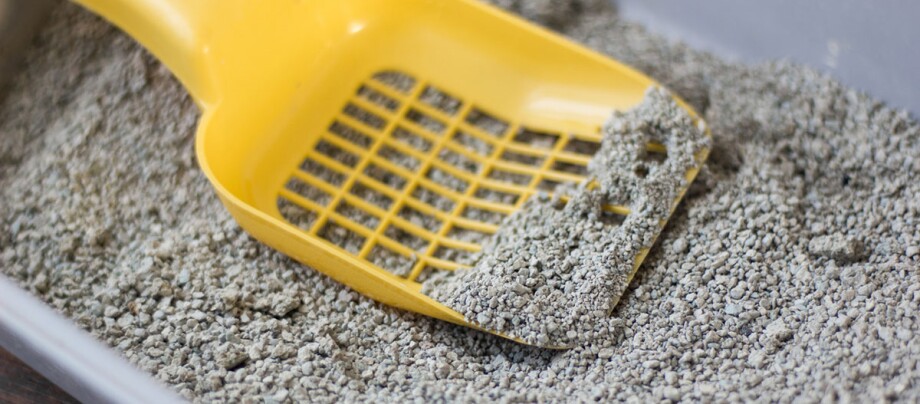 Ratgeber-Katze-Gesundheit_Katzenstreu_Wechseln_1200x527 Gelbe Katzentoilettenschaufel in klumpender Katzenstreu im Katzenklo