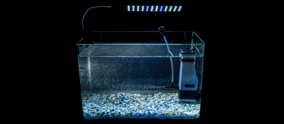 Ratgeber_Aqua_Aquarium_beleuchtet_1200x527 Kleines rechteckiges Aquarium mit Kiesboden, Wasserfilter und LED-Beleuchtung vor schwarzem Hintergrund