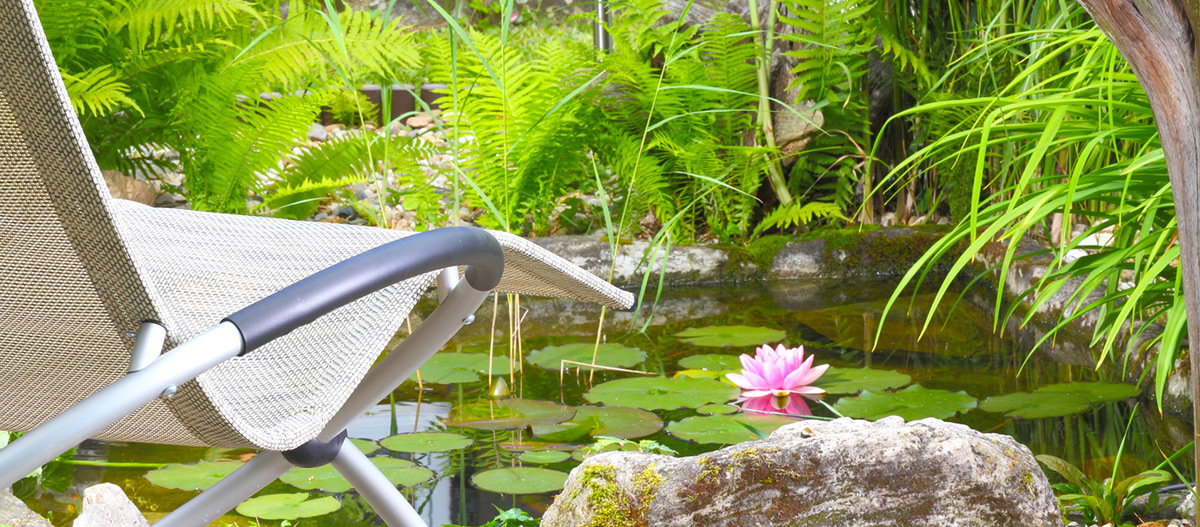 Ein Gartenteich.
