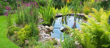 Schöner Garten mit Teich, umgeben von Steinen, grünen Farnen und blühenden Pflanzen