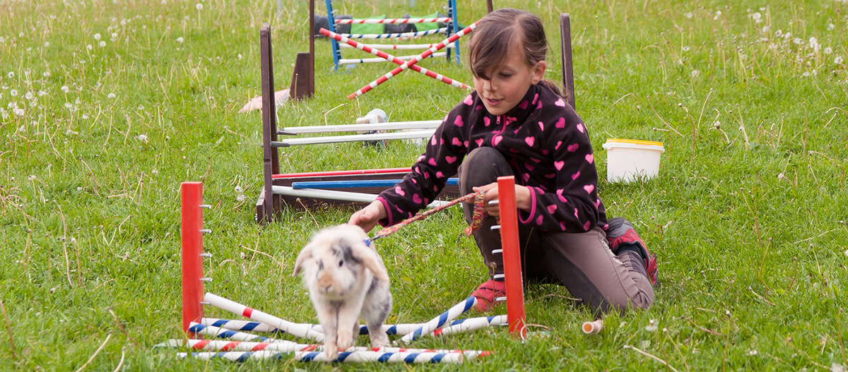 Ein Kind übt mit seinem Kaninchen Agility Ein Kind übt mit seinem Kaninchen Agility