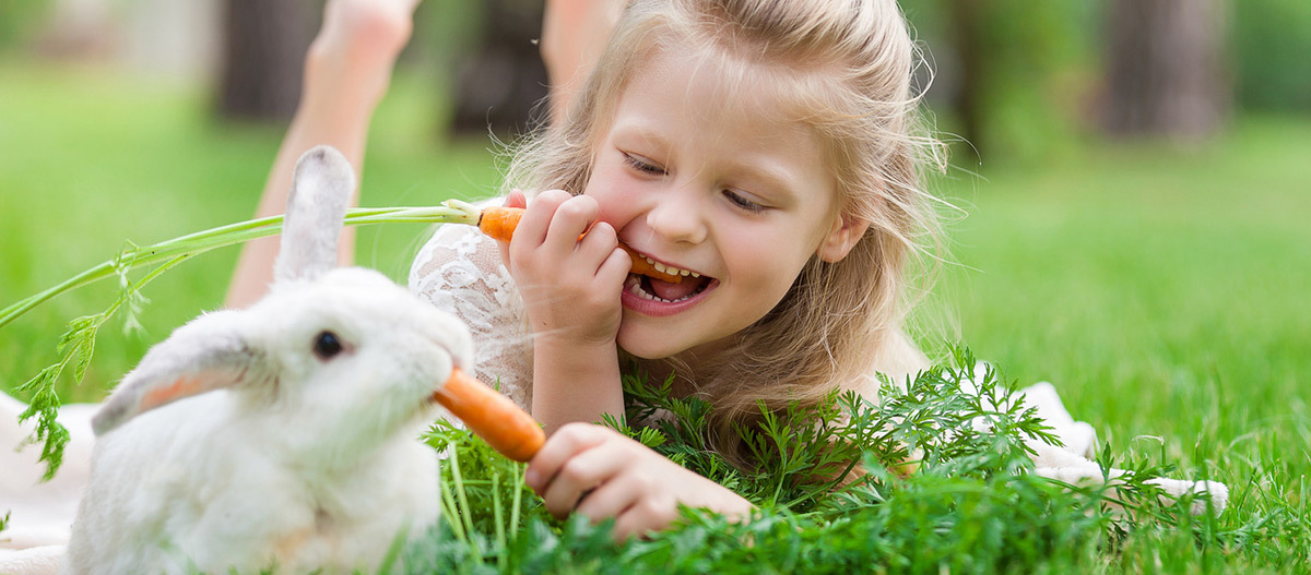 Ein Mädchen und ihr Hase essen jeweils eine Karotte. Glückliches blondes Mädchen teilt eine Karotte mit einem weißen Kaninchen im grünen Gras im Freien