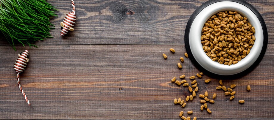 Ratgeber Katze Ernährung Spielzeug Napf mit Trockenfutter für Haustiere, verstreutes Katzenfutter und Spielzeugmäuse auf Holzoberfläche