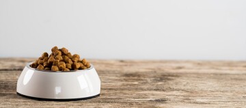 Weißer Futternapf mit trockenem Hundefutter auf rustikalem Holztisch vor hellem Hintergrund