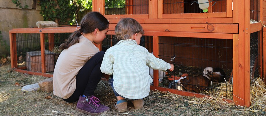 Ratgeber_Meerschweinchen_2Kinder_Stall_1200x527 Zwei Kinder sitzen vor einem Stall mit Meerschweinchen.