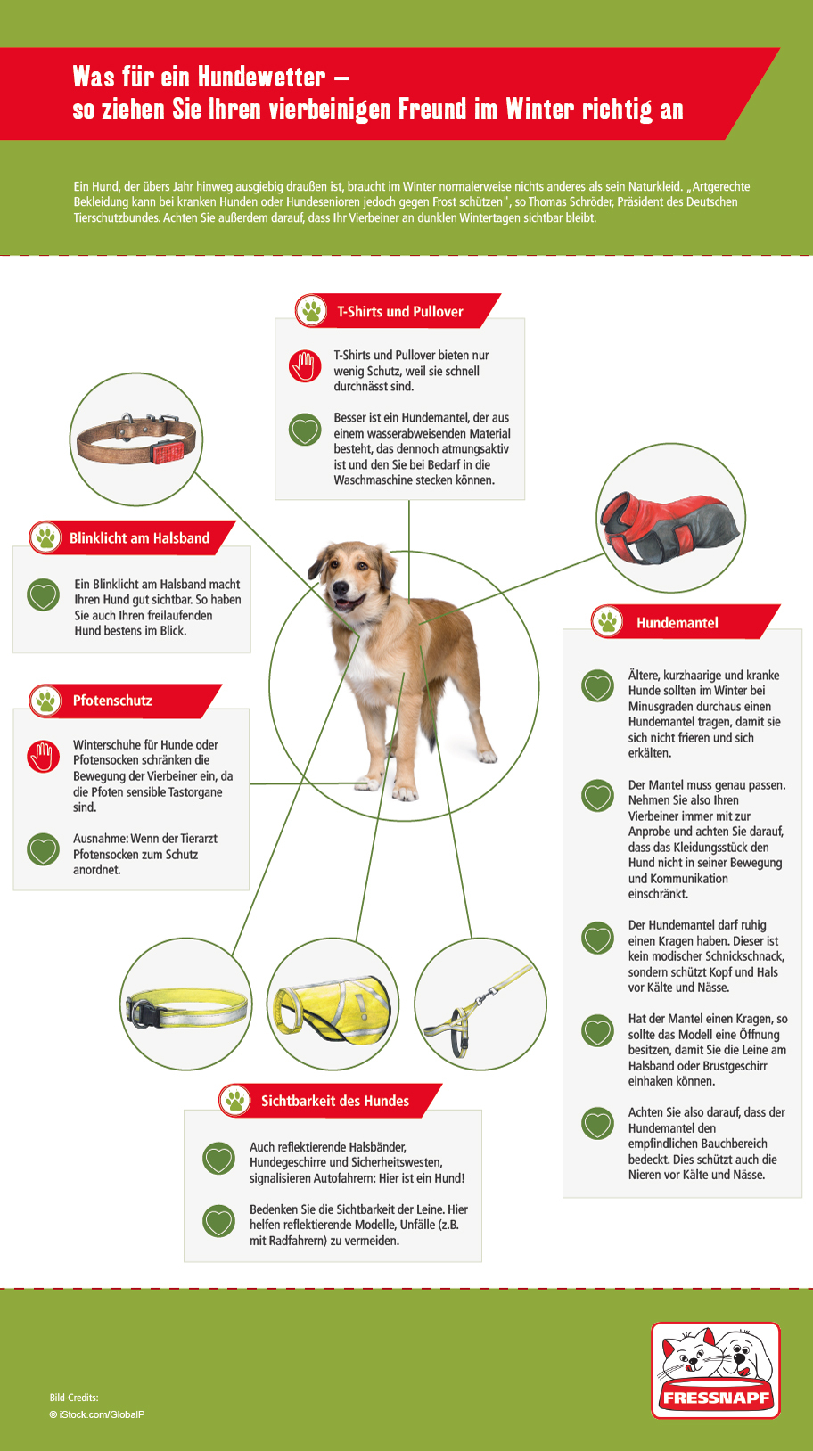 Hundeklamotten_912x1628 Hundeklamotten Übersicht