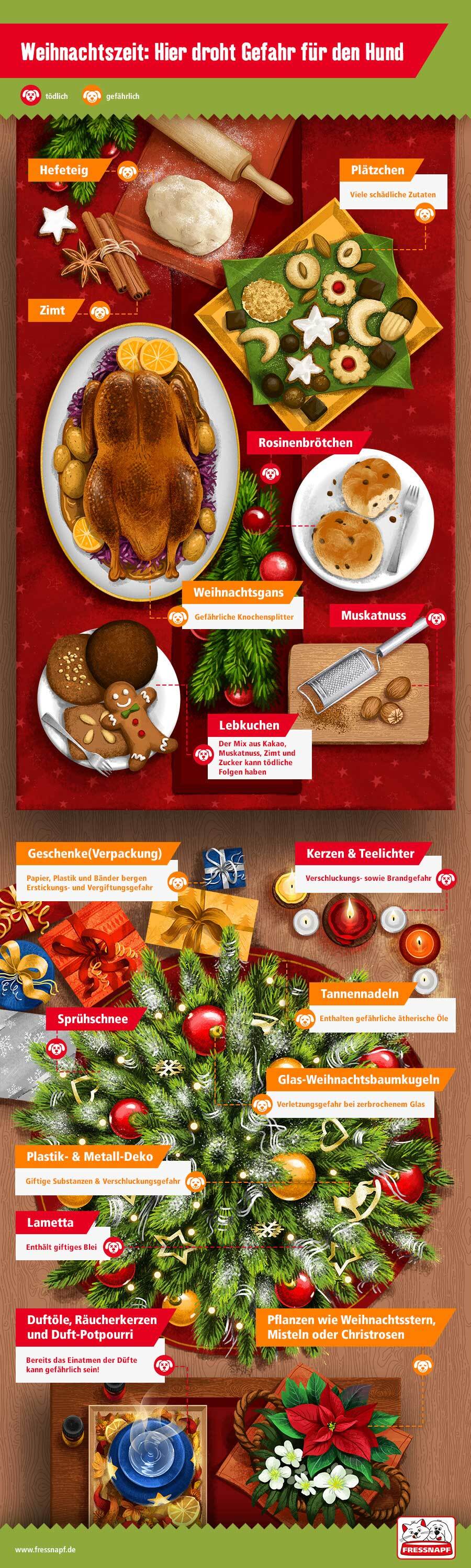 Weihnachtszeit Gefahren für Hunde: Gefährliche Lebensmittel, Dekorationen und Pflanzen wie Lebkuchen, Weihnachtsgans, Kerzen, Tannennadeln und Weihnachtsstern.