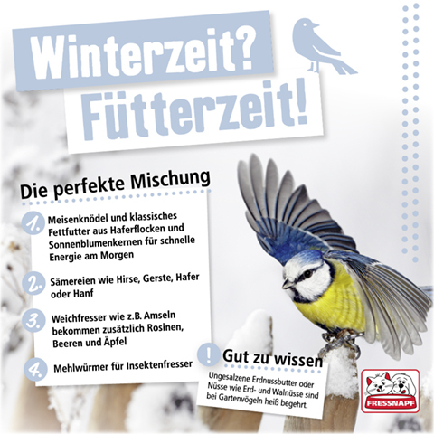 Winterzeit Fütterzeit Vogel Futter Mischung mit Meisenknödeln, Haferflocken, Sonnenblumenkernen, Samen, Rosinen, Beeren, Äpfeln und Mehlwürmern für Gartenvögel