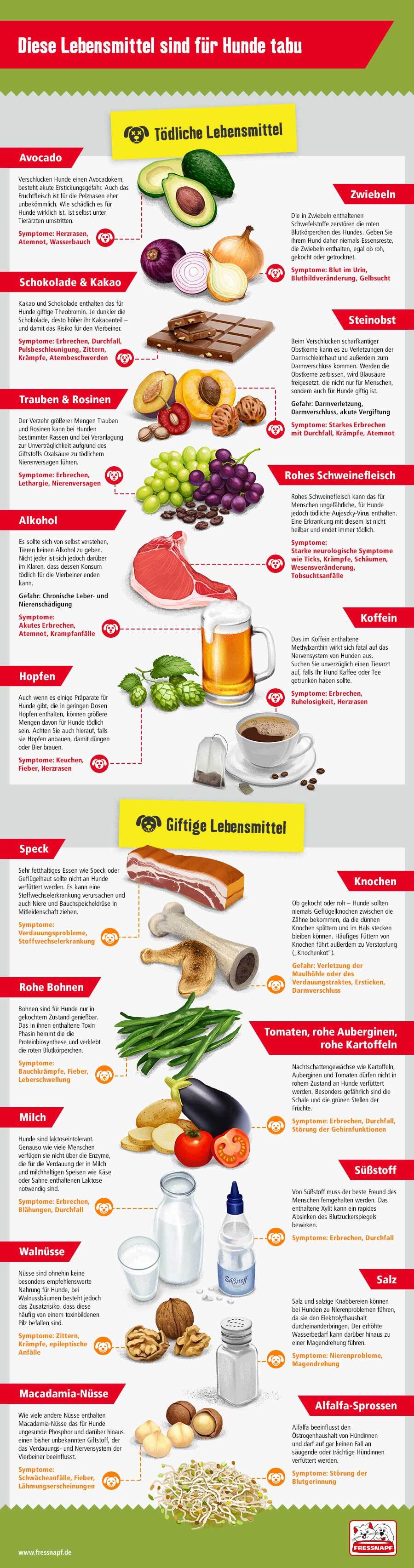 Infografik giftige Lebensmittel für Hunde Infografik giftige Lebensmittel für Hunde