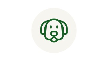 Icon Hund Rassen Minimalistisches grünes Hunde-Icon auf beigem Hintergrund, Symbol für Haustierpflege und Hundedienste