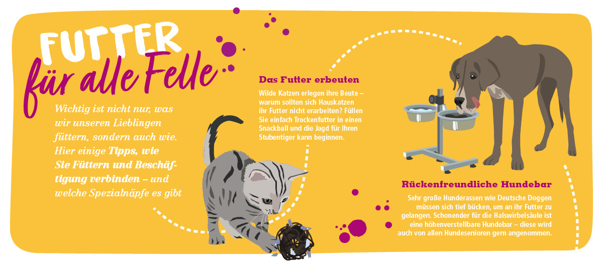 Infografik Ernährung Hund und Katze Illustration mit Tipps zum Füttern von Haustieren – Katze spielt mit Snackball und großer Hund frisst an höhenverstellbarer Hundebar für rückenschonendes Füttern.