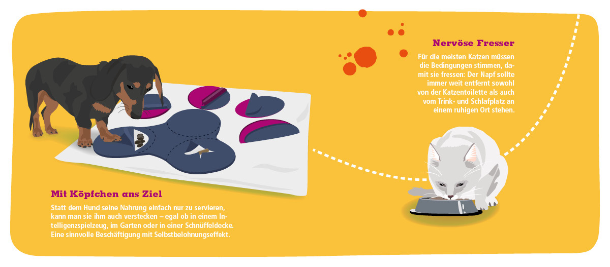 Infografik Ernährung Hund und Katze Illustration eines Dackels, der Futter aus einem Intelligenzspielzeug holt, und einer weißen Katze, die ruhig aus einem Napf frisst, mit Tipps zur artgerechten Fütterung von Hunden und Katzen.