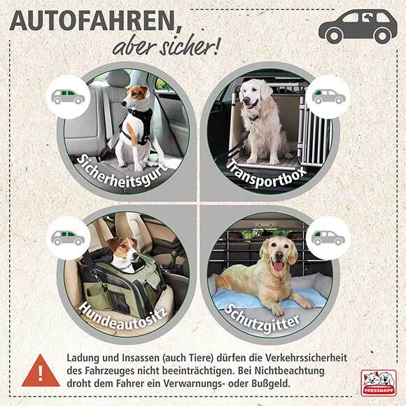 Infografik Hund im Auto richtig sichern Sicheres Autofahren mit Hund: Sicherheitsgurt, Transportbox, Hundeautositz und Schutzgitter für optimale Verkehrssicherheit.