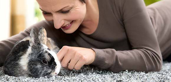 Kaninchen-Haltung-580-280 Eine Frau streichelt ein Kaninchen.