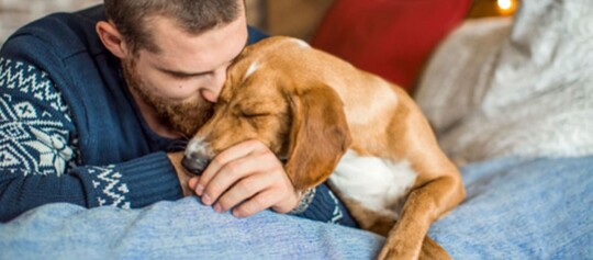 Mann kuschelt liebevoll mit seinem braunen Hund auf einer blauen Decke in gemütlicher Wohnumgebung