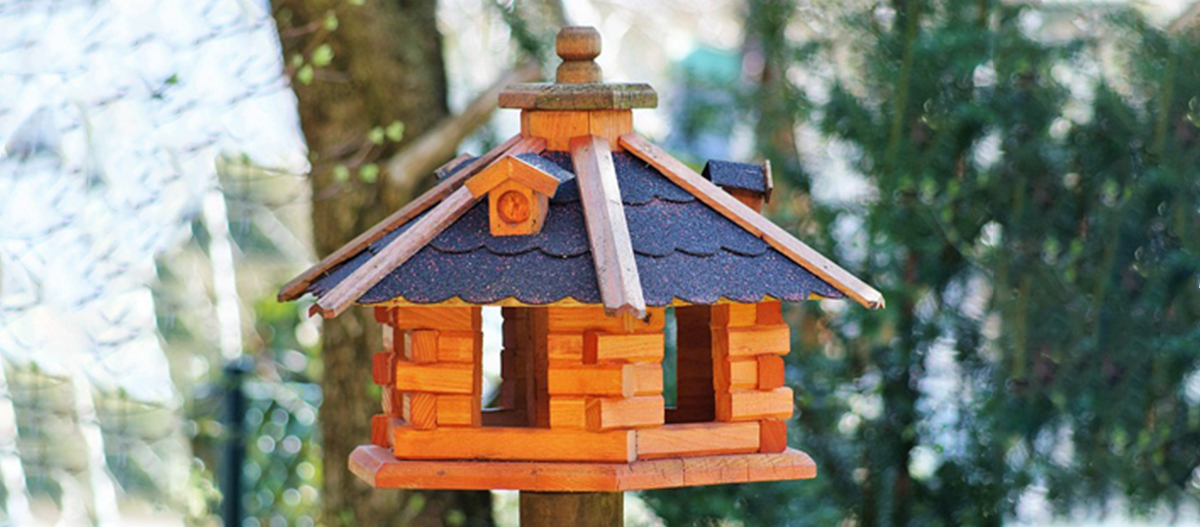 Ratgeber_Vogel_Vogelhaus_1200x527 Ein orangenes Vogelhaus.