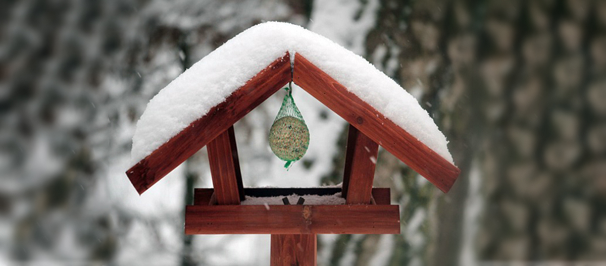 Ratgeber_Vogel_Vogelhaus_Winter_1200x527 Vogelhaus aus Holz mit schneebedecktem Dach und Vogelfutter im Winterwald