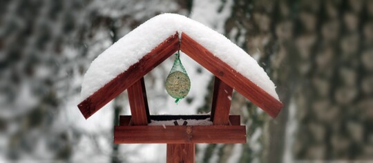Vogelhaus aus Holz mit schneebedecktem Dach und Vogelfutter im Winterwald