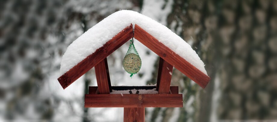 Ratgeber_Vogel_Vogelhaus_Winter_1200x527 Vogelhaus aus Holz mit schneebedecktem Dach und Vogelfutter im Winterwald