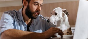 Mann arbeitet am Laptop mit neugierigem Hund neben sich im gemütlichen Zuhause