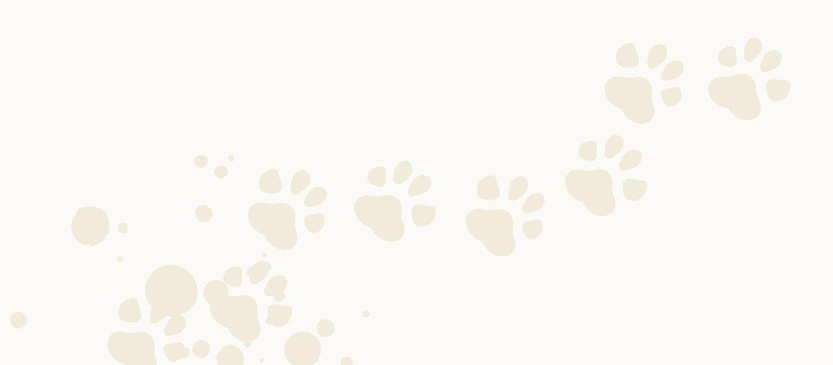 -5f2a7d1c24202--5f2a7d1c24204vis_hintergrund_pfoten_1200x527.jpg Pfoten