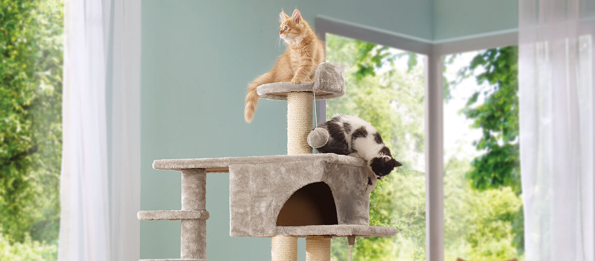 Stabiler Kratzbaum mit mehreren Ebenen – Perfekter Kletter- und Ruheplatz für Katzen Zwei Katzen auf einem mehrstöckigen beigen Kratzbaum in einem hellen Raum mit großen Fenstern und grüner Außenansicht.