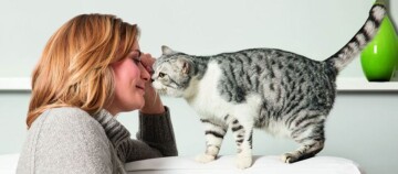 Frau und graue getigerte Katze zeigen Zuneigung durch Nasenkontakt in gemütlichem Zuhause