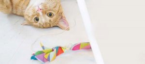 Anleitung DIY Spielzeug für Katzen.