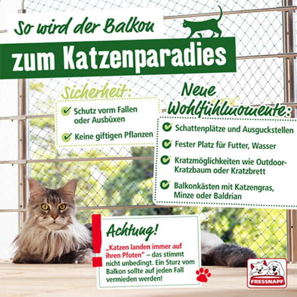 -5f2d5afc74886--5f2d5afc74887balkon-katzensicher-580-280-3.jpg Katze auf Balkon mit Sicherheitsnetz – Tipps für einen sicheren und katzenfreundlichen Balkon mit Schattenplätzen, Kratzmöglichkeiten und ungiftigen Pflanzen