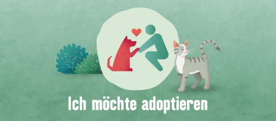 Tierisch engagiert adoptieren