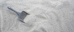 Streuschaufel in Katzenstreu