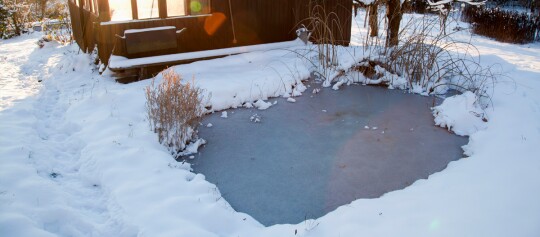 Kleiner zugefrorener Teich mit Schnee und trockenen Pflanzen neben einem Holzschuppen an einem sonnigen Wintertag