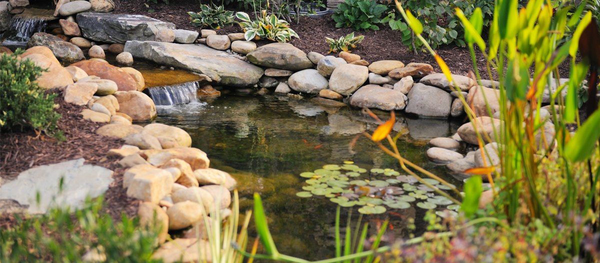 Ein Gartenteich. Schöner Garten mit einem klaren Teich, umgeben von glatten Steinen, mit einem kleinen Wasserfall und Seerosen, umgeben von grünen Pflanzen.
