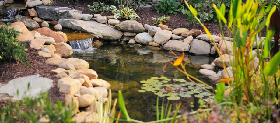 Ein Gartenteich. Schöner Garten mit einem klaren Teich, umgeben von glatten Steinen, mit einem kleinen Wasserfall und Seerosen, umgeben von grünen Pflanzen.