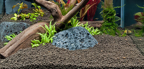 Bodengrund im Nano-Aquarium Bodengrund im Nano-Aquarium