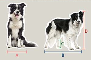 -5f3a2cc0823d4--5f3a2cc0823d6Fressnapf-Infografik-Transportboxen-.jpg Optimale Größe für Hundetransportbox.